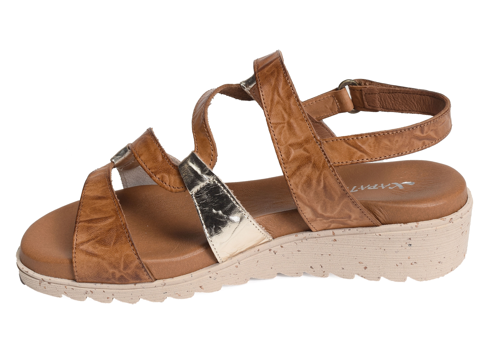 1683 camel or