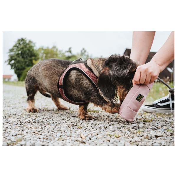 Hunter - Dummy Trainer Snack avec corde - Accessoire pour chien