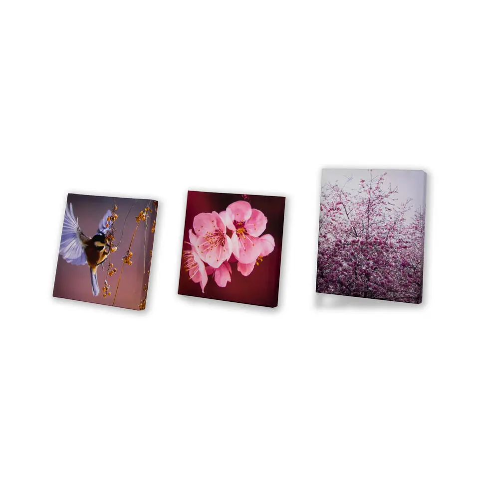 Art for the Home Zee van Bloemen Canvas Set van 5 80x60 cm
