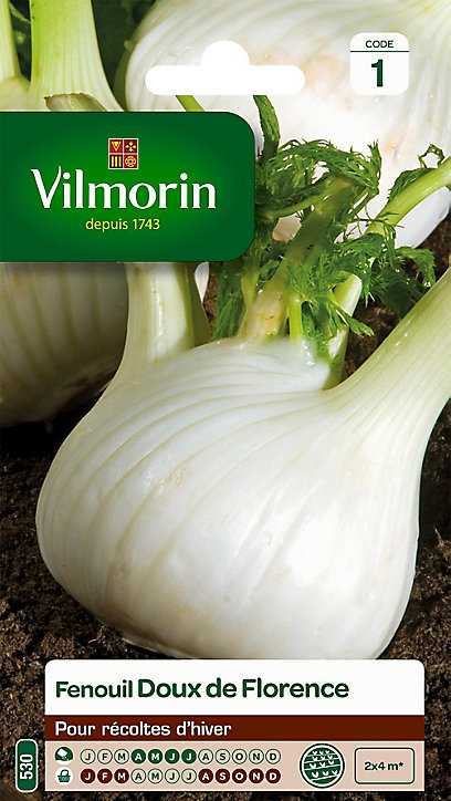 Graines de Fenouil Doux de Florence Vilmorin