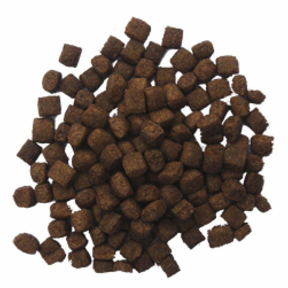 BF Petfood Lam en Rijst Hondenvoer 3 kg