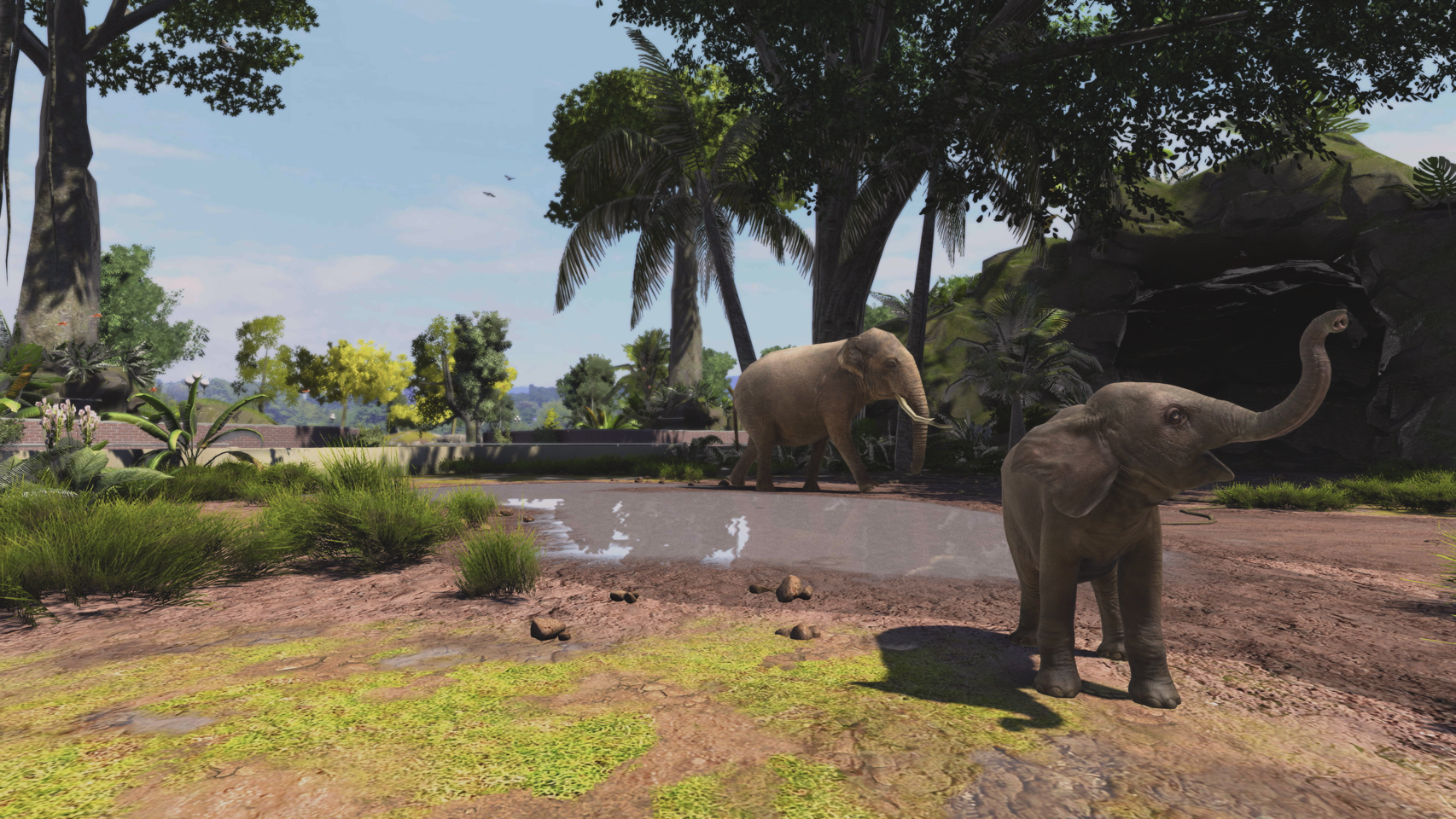 Zoo Tycoon: Ultimate Animal Collection- PC