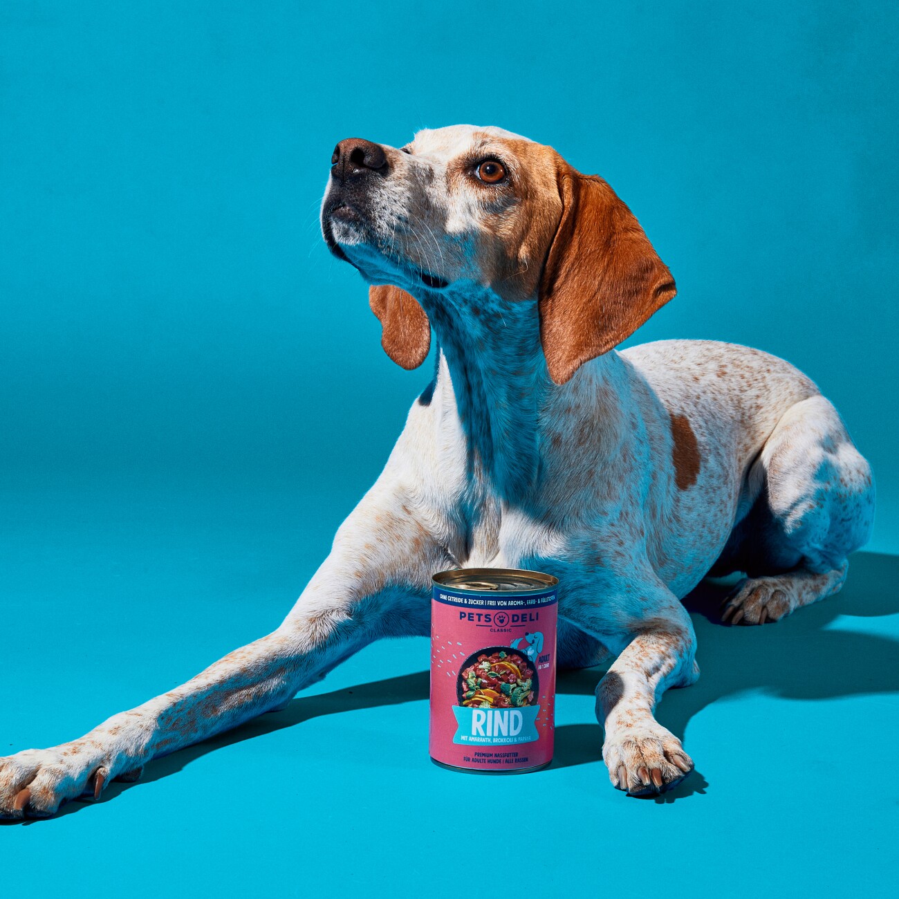 Pets Deli Nassfutter Hund Adult, Rind mit Brokkoli 6x400 g
