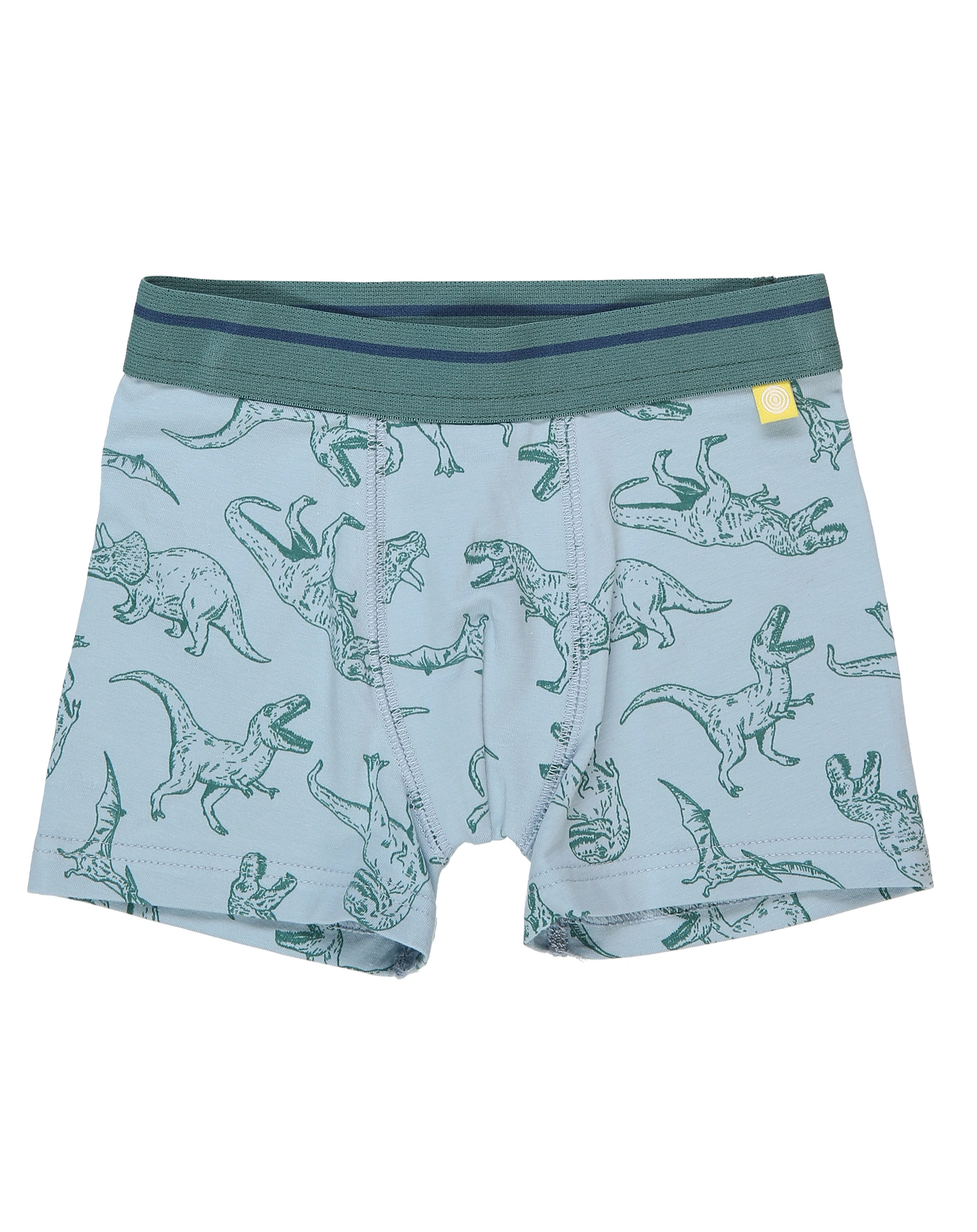 Boxershorts DINO 2er-Pack in blau/grün