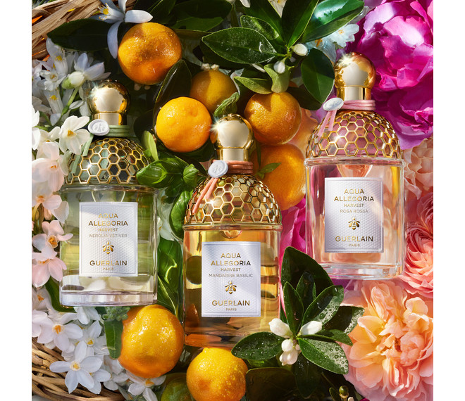 Guerlain Aqua Allegoria Nerolia Vetiver Harvest Eau de Toilette