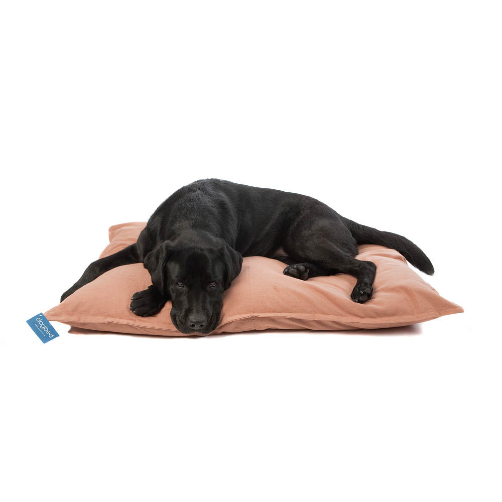 Lex & Max Tivoli - Hondenkussen - Beige - 70x100x14 cm - L