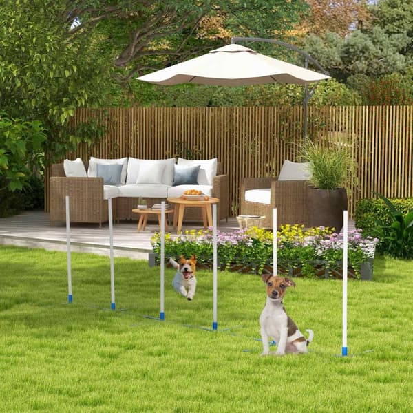 Hundeslalåmstaver Agilitytrening For Kjæledyr Hundetreningssett Inkludert 600D Veske Polyester Plast Hvit + Blå 305 X 60 X 94 Cm