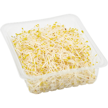 Jumbo Biologisch Alfalfa 40 g