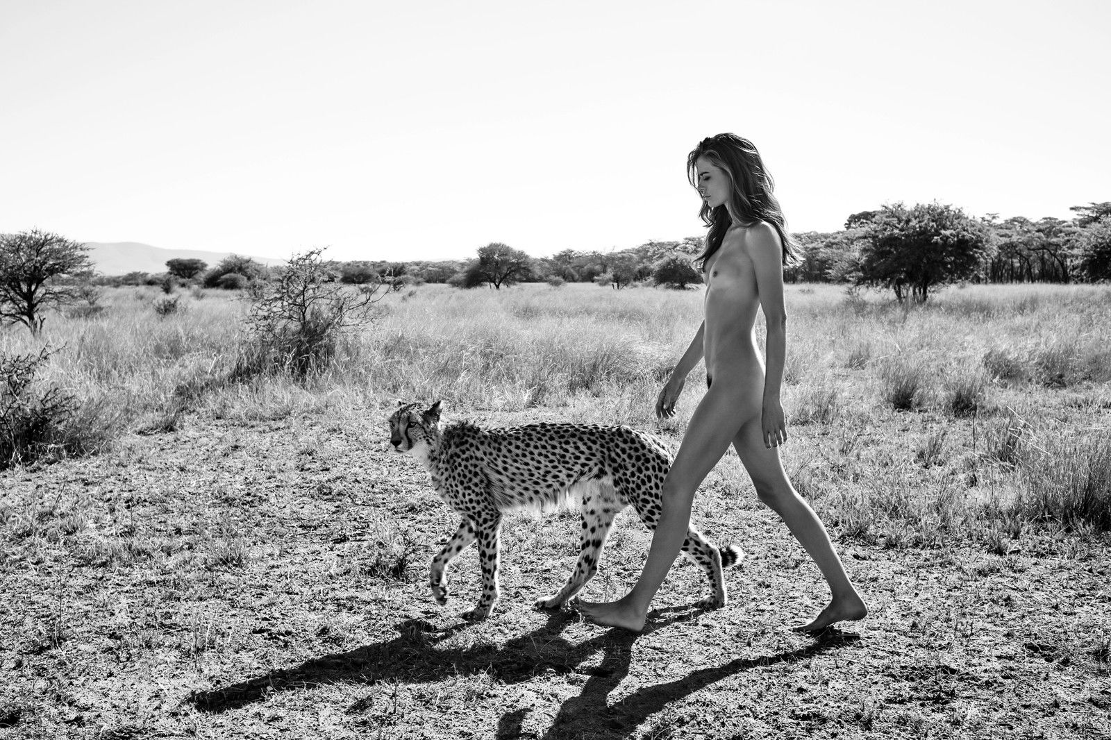 Catwalk by Paul Giggle - Limited Edition. Edition of: 150. Signed.