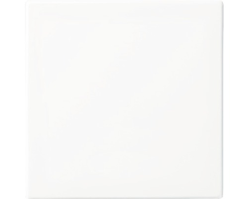 Busch-Jaeger 2506-914 Universele Balance SI-tuimelschakelaar, alpinewit