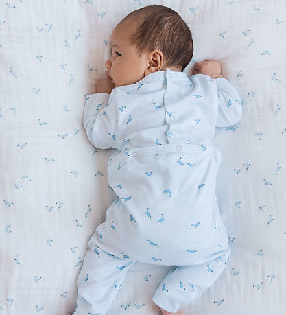 MarMar Bettwäsche - Baby - Dolphin