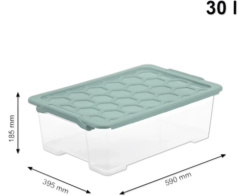 Rotho Box met deksel Evo Safe 30 l transparant 59x18,5x39,5 cm
