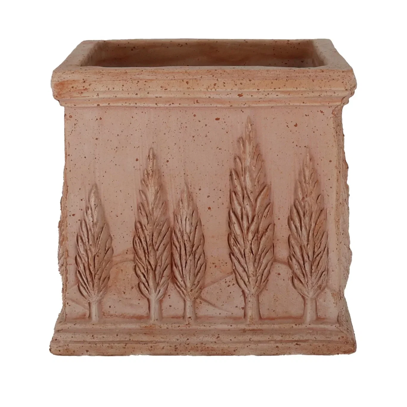 Potte Cipressi Lengde 24 cm
