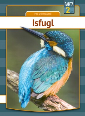 Isfugl - Per Østergaard - Bog