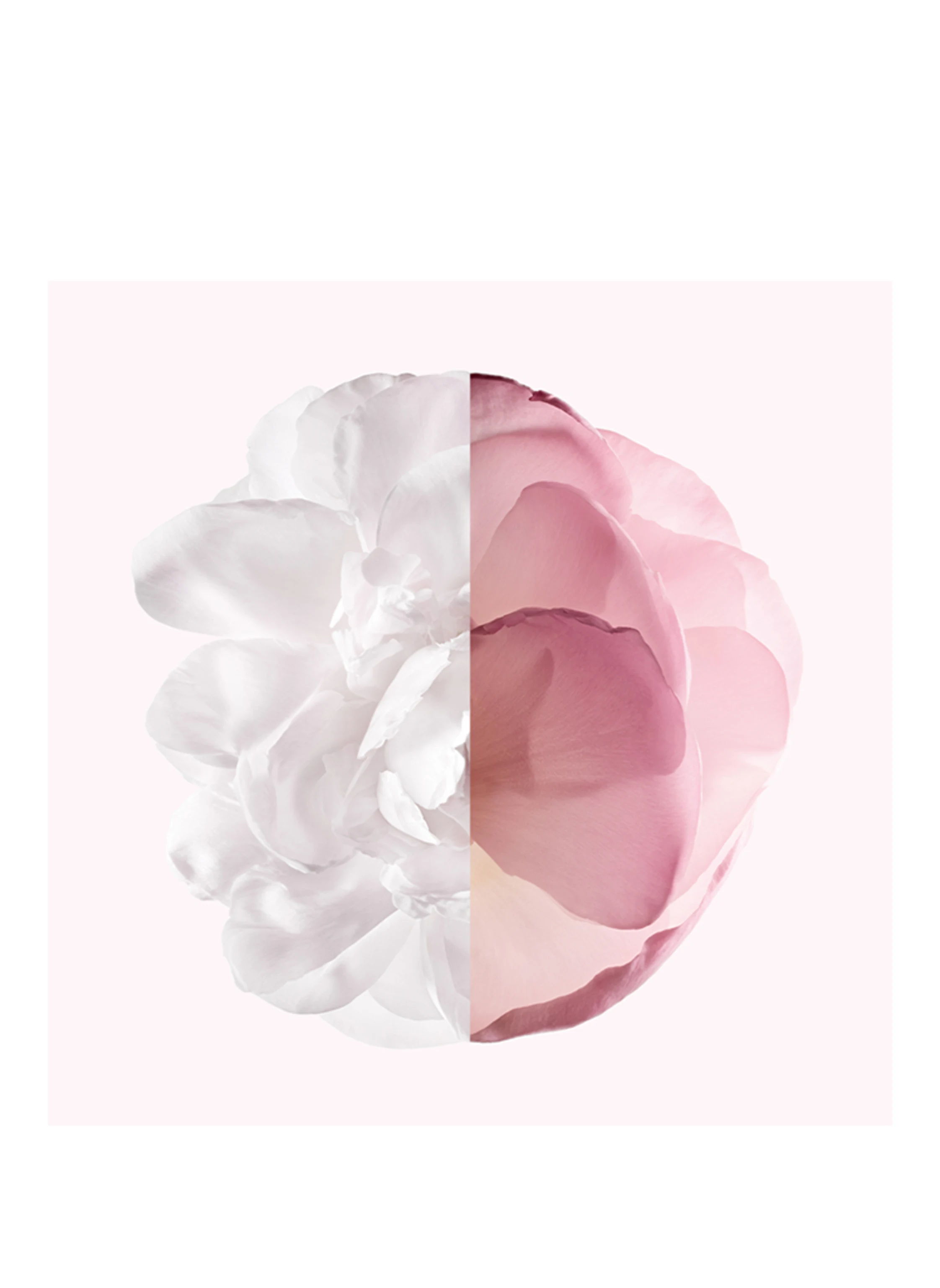 GIVENCHY BEAUTY IRRESISTIBLE VERY FLORAL