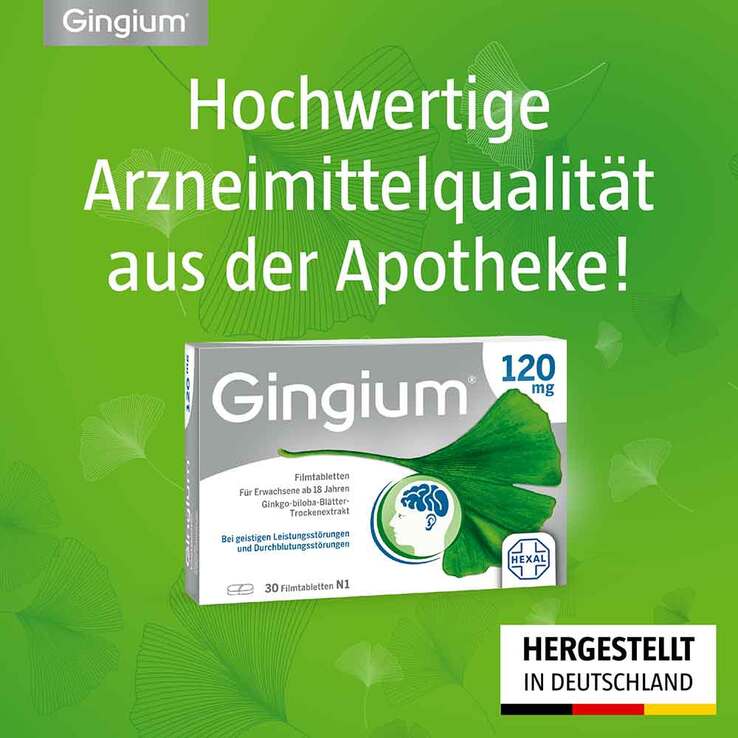Gingium 120 mg Filmtabletten, 30 St