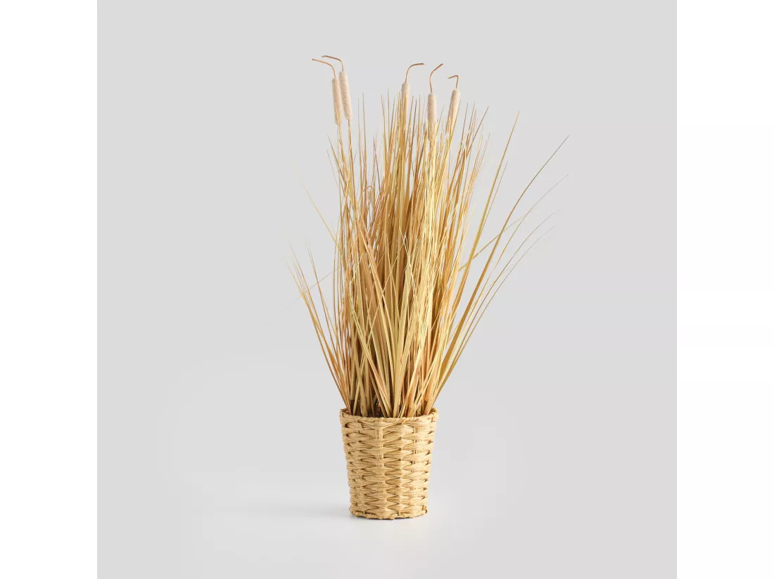Composition Décorative Bastoe beige moyen 64 x 18