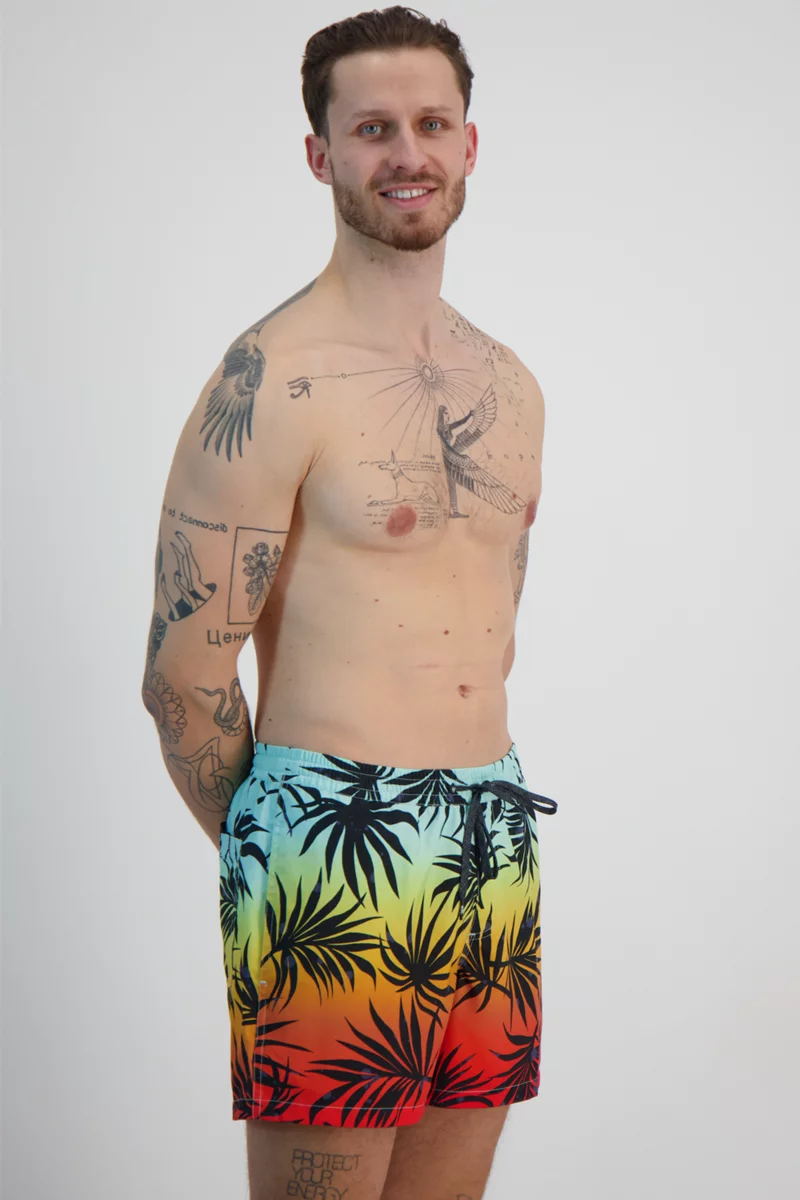 Quiksilver Everyday Mix Volley 15 Inch Herren Badeshort
