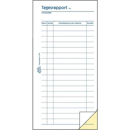 Avery Zweckform 1301 Tagesrapport, 105x200mm, mit Blaupapier, 2x50 Blatt