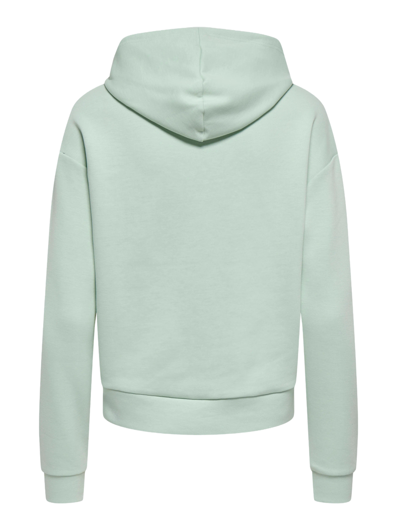 Onp Lounge Hood Ls Swt