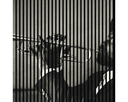 Digitaal bedrukt akoestisch paneel Jazz 1 1195 x 1133 x 19 mm Set = 2 individuele panelen