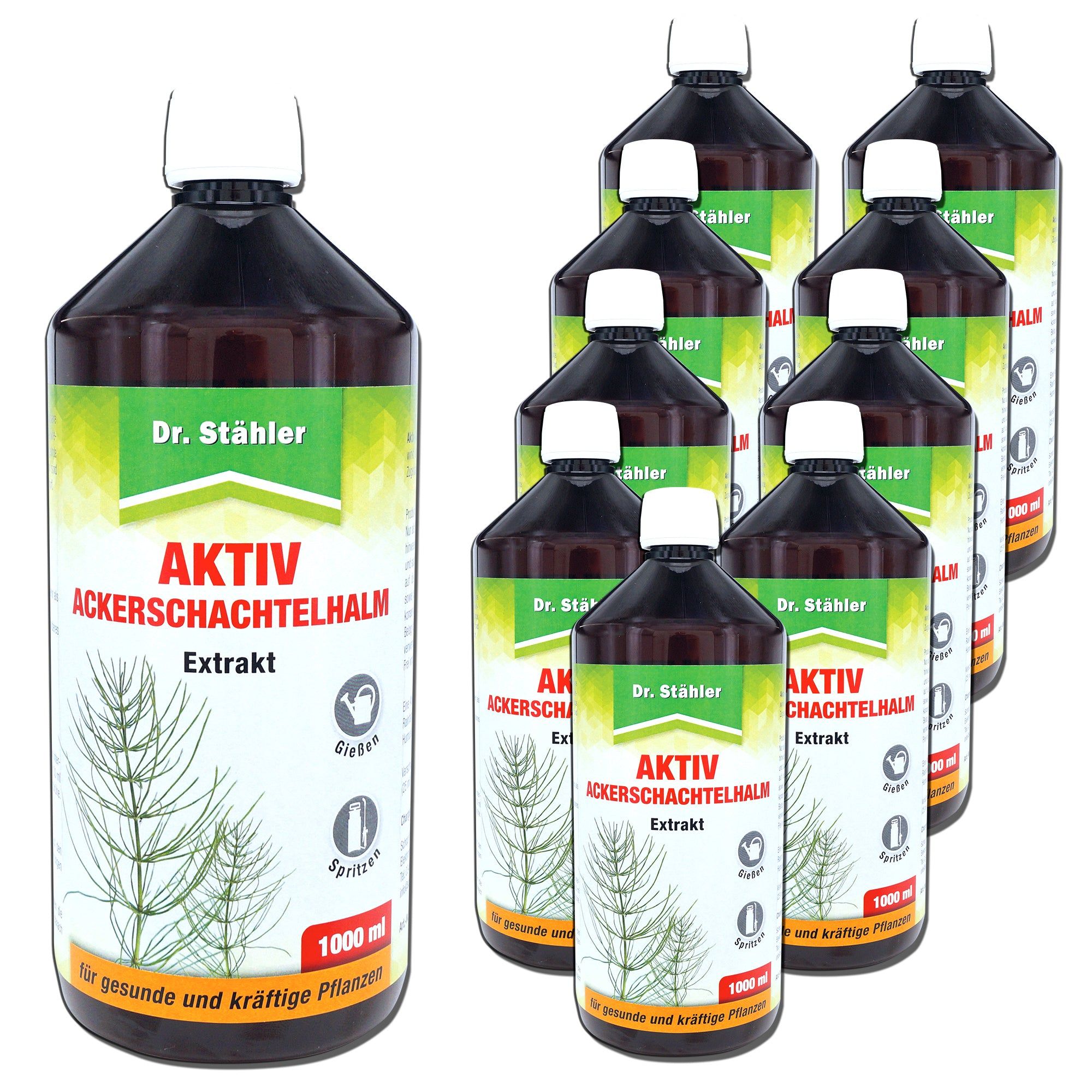 SILBERKRAFT Aktiv Ackerschachtelhalm Extrakt