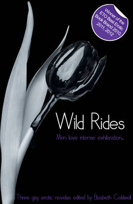 Wild Rides: Three erotic gay novellas - Xcite Best-Selling Gay Collections (Paperback)