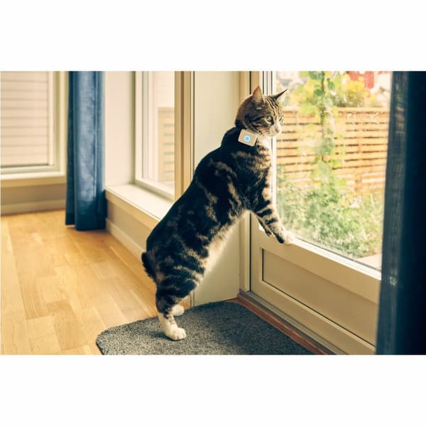 Lilcat 2 GPS Tracker for katter