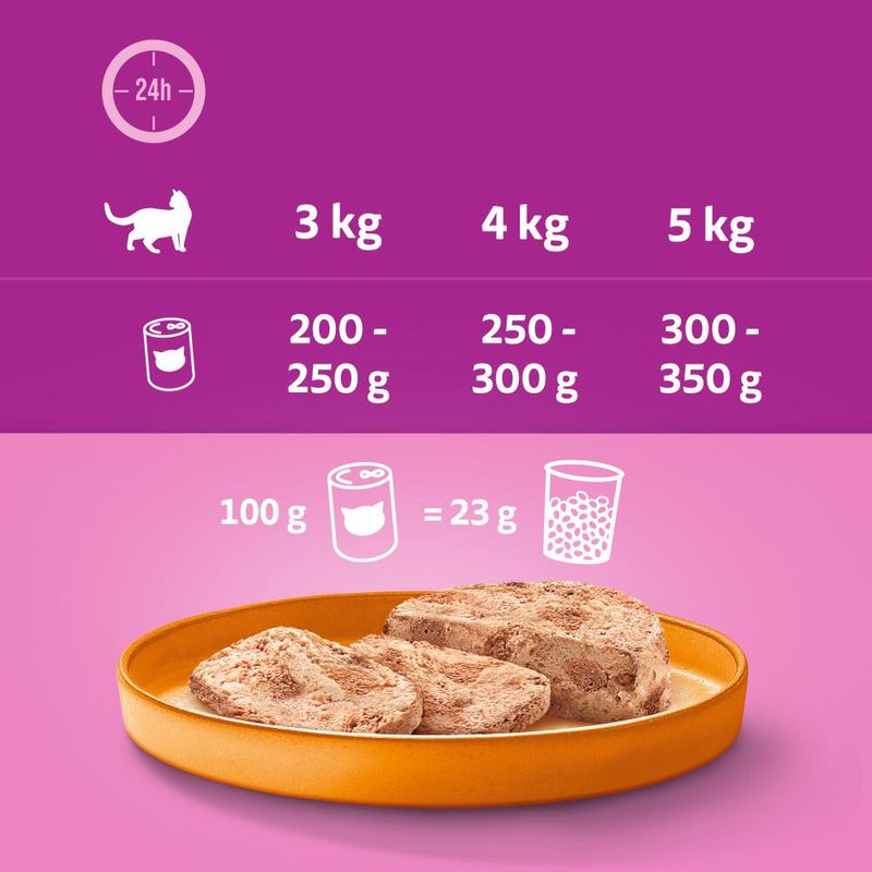 Whiskas Adult 1+ 12 x 400 g