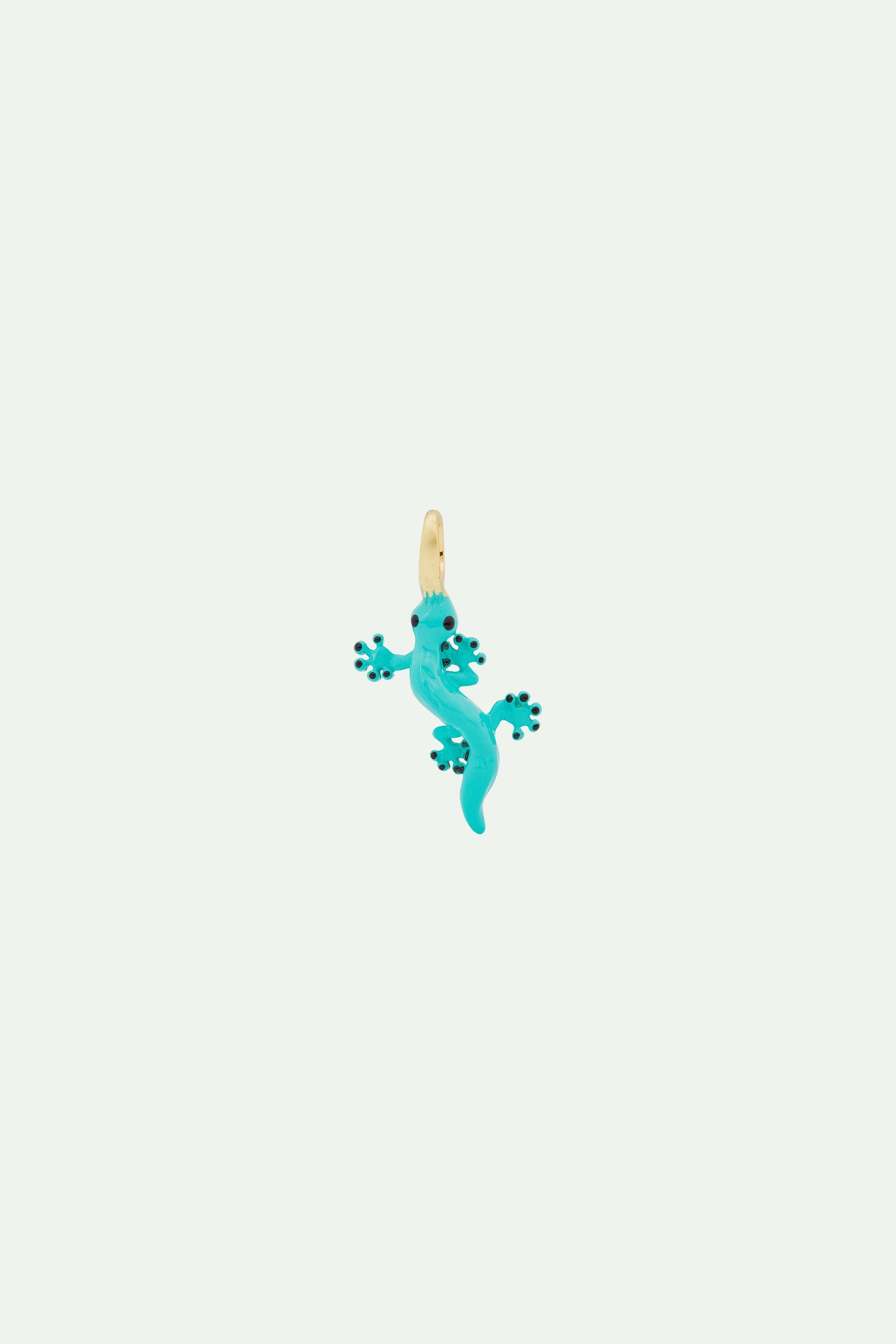 Charm's lézard | Vert