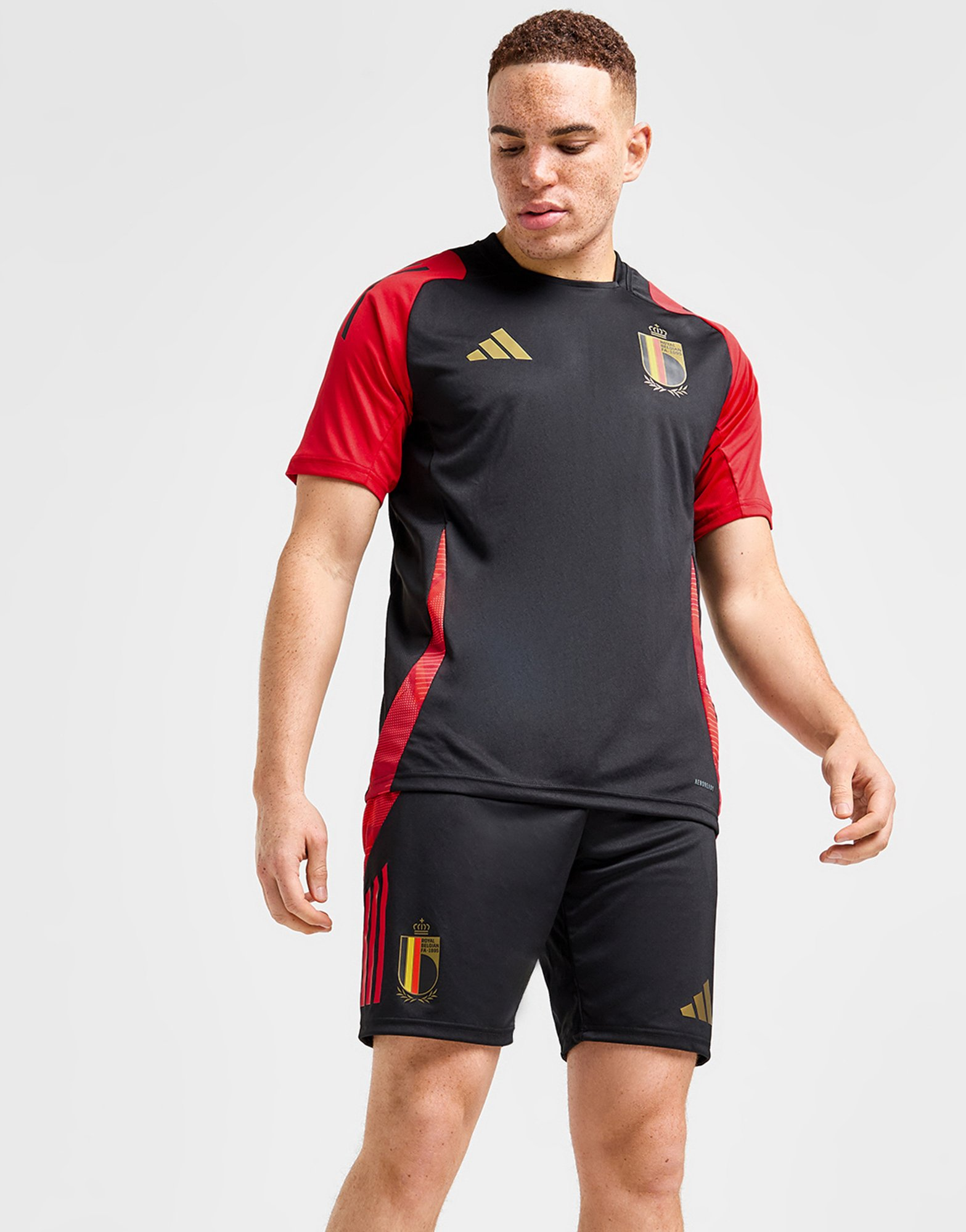 adidas Short d'entraînement Belgique Homme