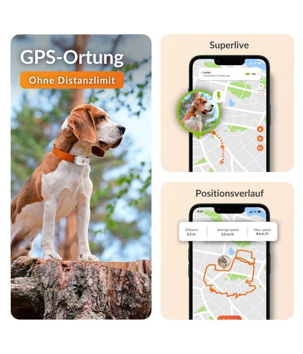 Weenect XS GPS-Tracker für Hunde, ca.