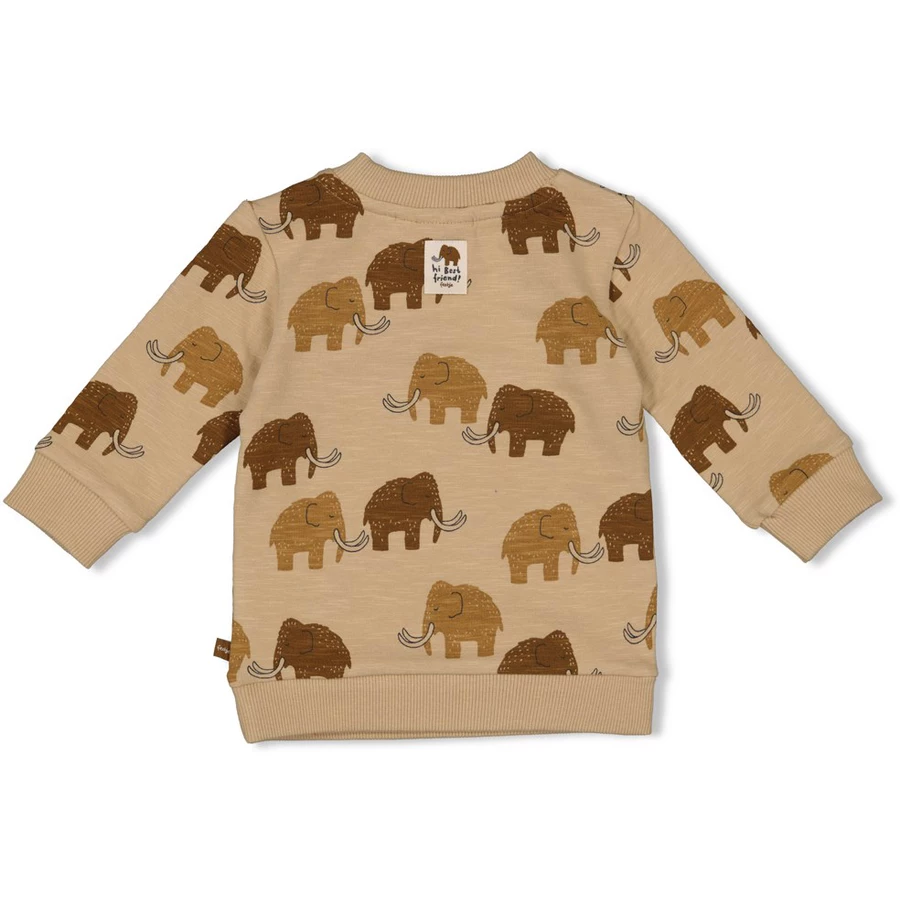Feetje Sweatshirt Best Friends Sand