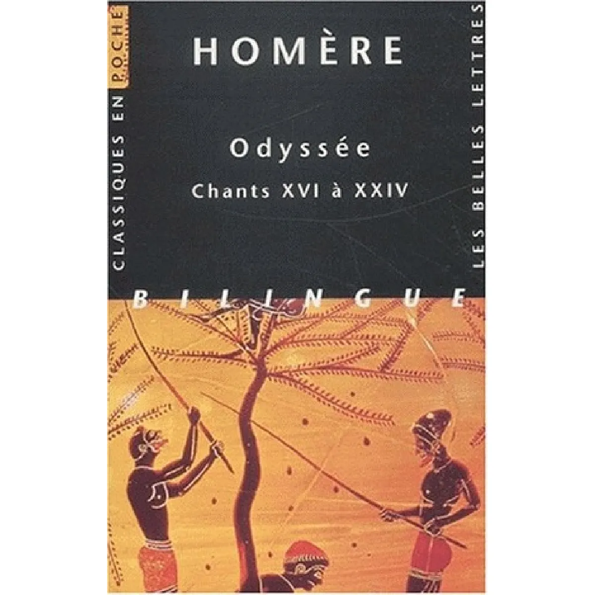 Odyssée. Vol. 3. Chants XVI à XXIV · Occasion