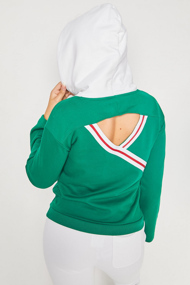 Sweat bicolore vert / Champion / 111299