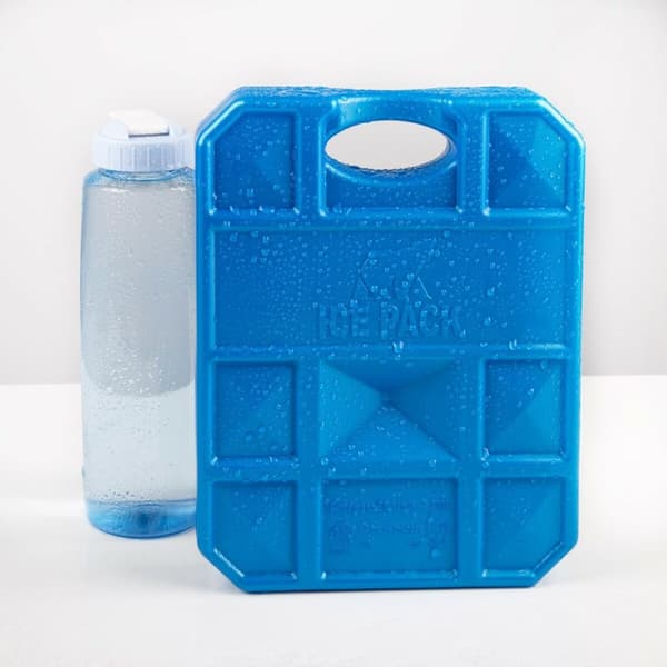 Kaldoppsamler Aktive Blå 2 Kg 22 x 27,5 x 4 cm (6 enheter)