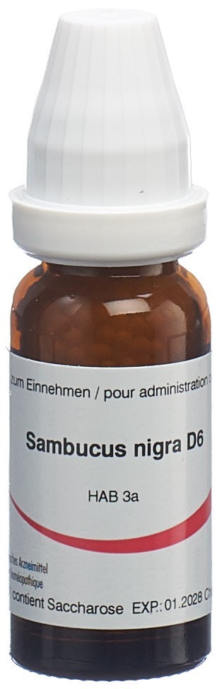 Omida Sambucus nigra Glob 6 D 14 g