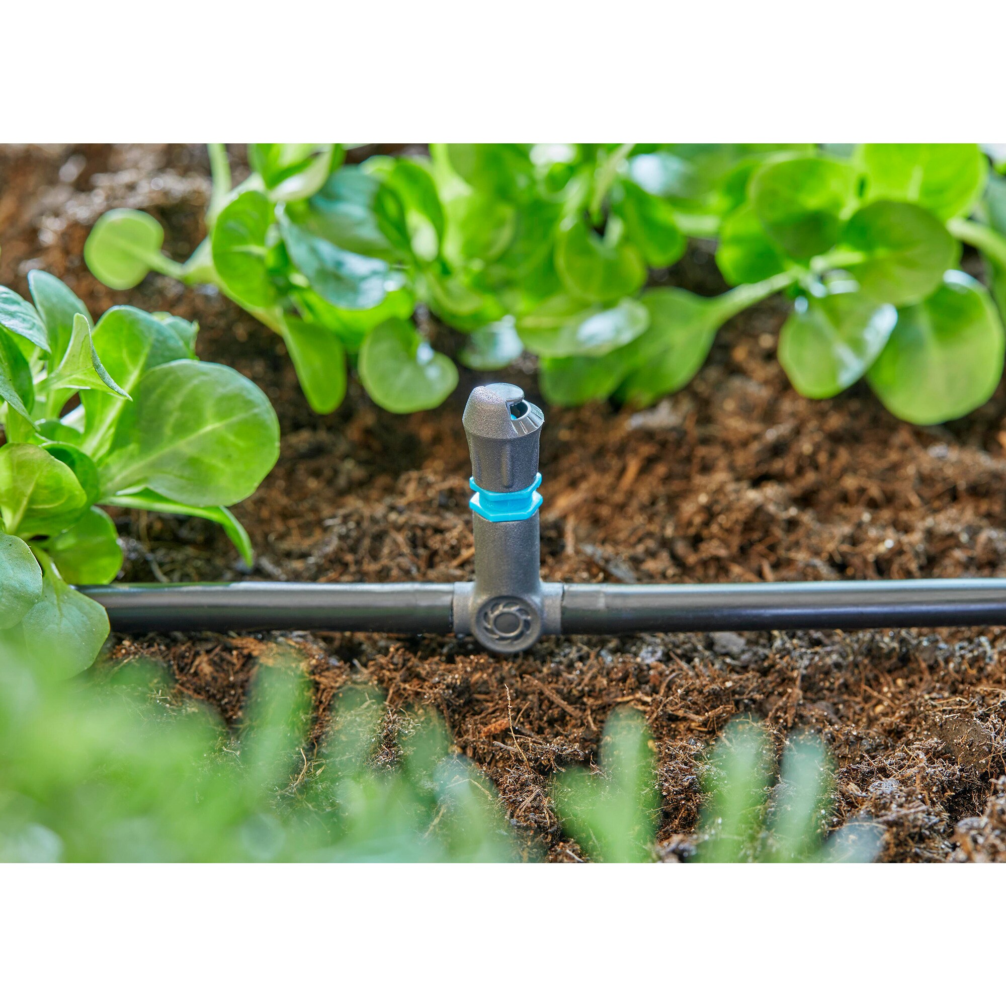 GARDENA Verbindung Micro-Drip-System T-Stück für Sprühdüsen/Endtropfer, 4,6mm (3/16