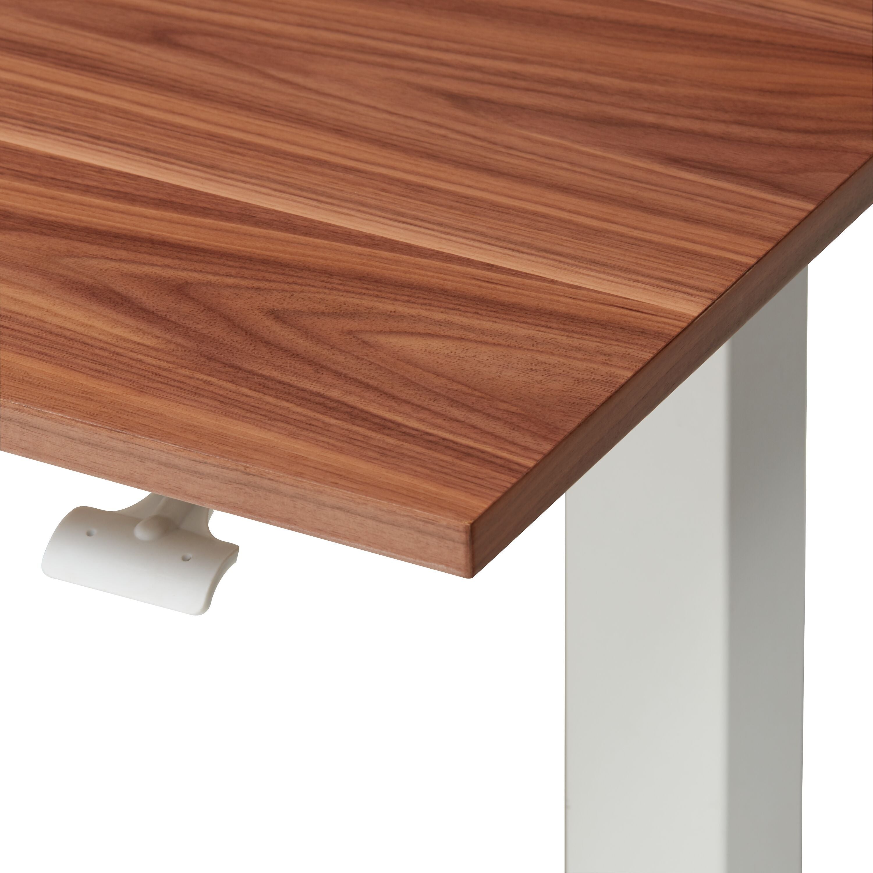 ECCO Light_Pult h.v.135x70_weiss/nussbau - Nussbaum / B: 135.0 cm x T: 70.0 cm x H: 73.0 cm