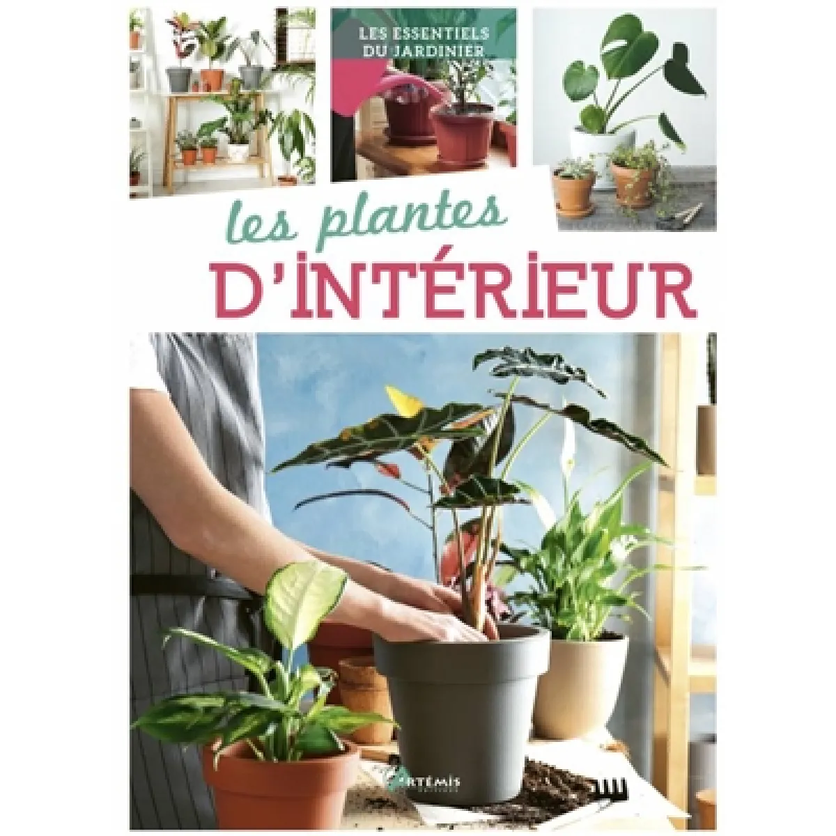 Les plantes d'intérieur · Occasion