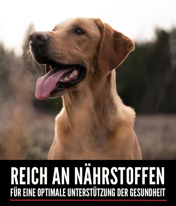 ORIJEN™ Trockenfutter für Hunde Tundra