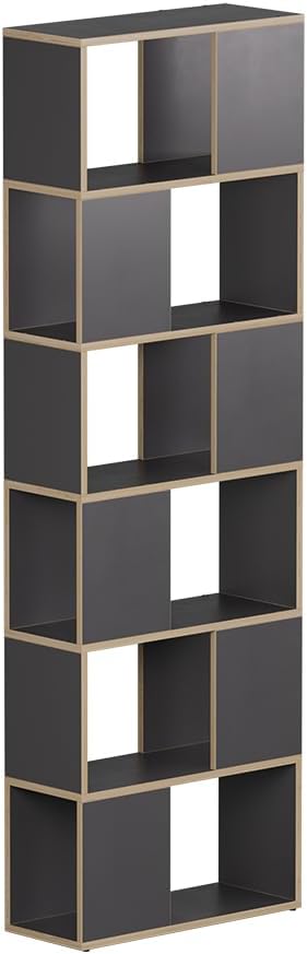 Vicco Raumteiler Eneos, Anthrazit/Eiche, 60 x 186 cm