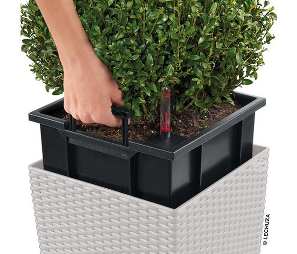 LECHUZA® Kunststoff-Topf Cube Cottage,