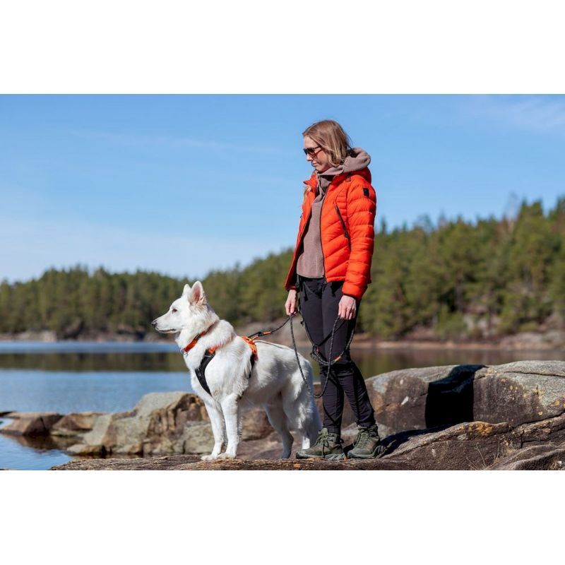 Rock Leash - Laisse pour chien