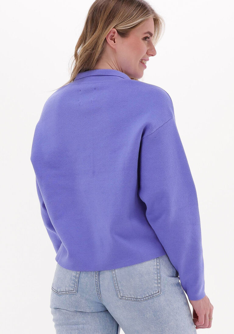 ANOTHER LABEL paarse another label trui cleo knitted pull