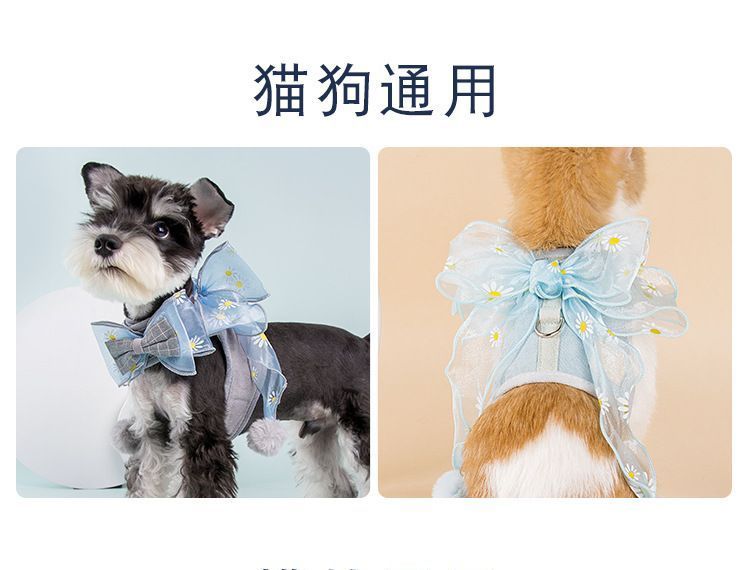 2 nachten - Bow Pet Harness