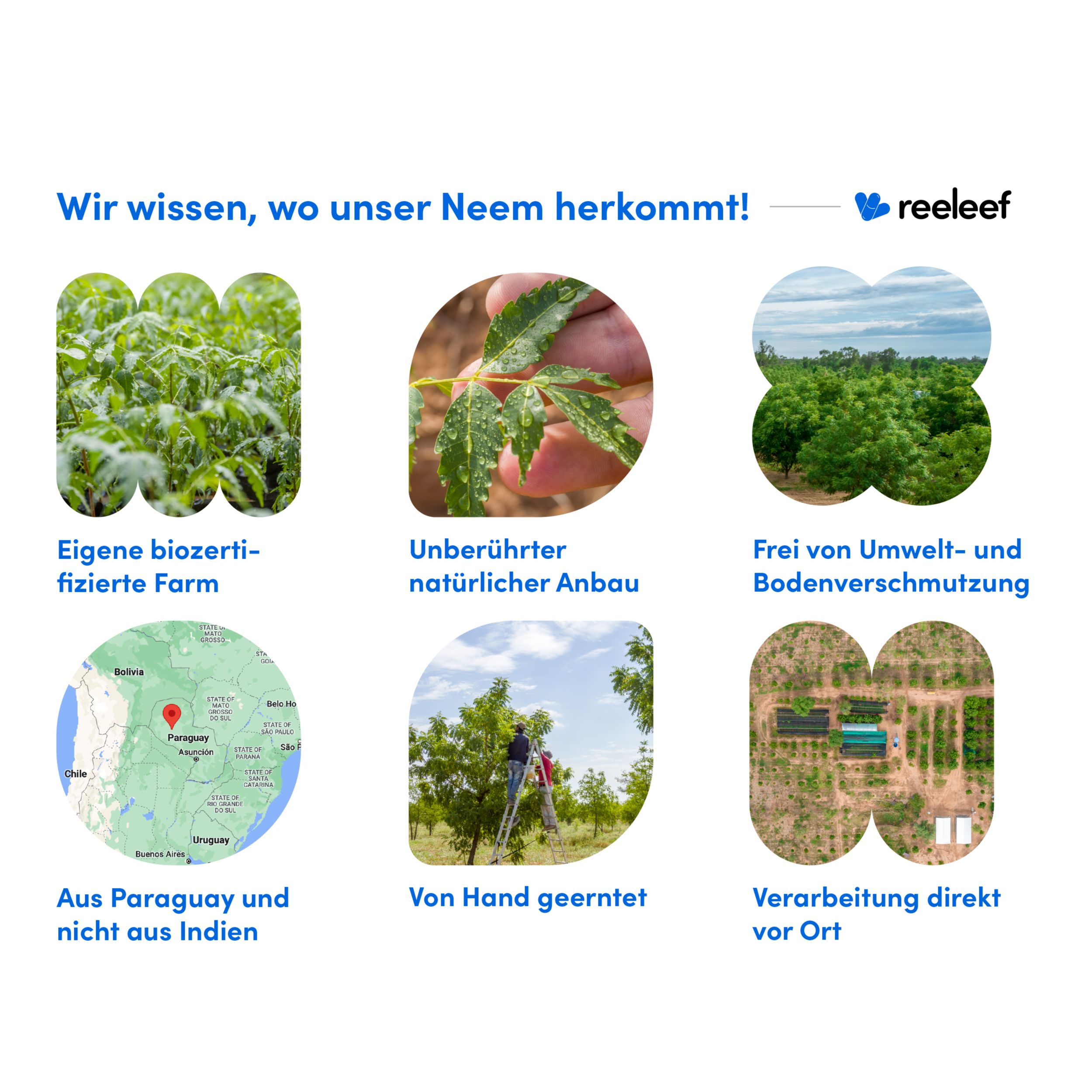 reeleef Neem Kapseln