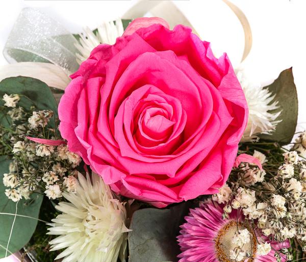 Dehner Keramik-Jardiniere mit Longlife-Rose,