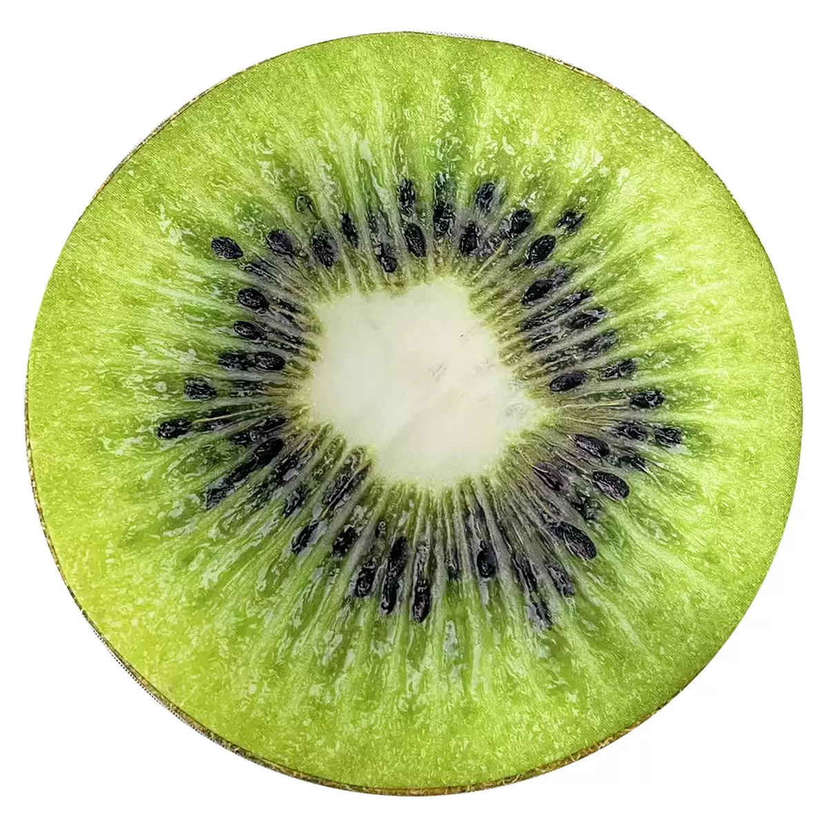 Sitzkissen fruits Bunt
