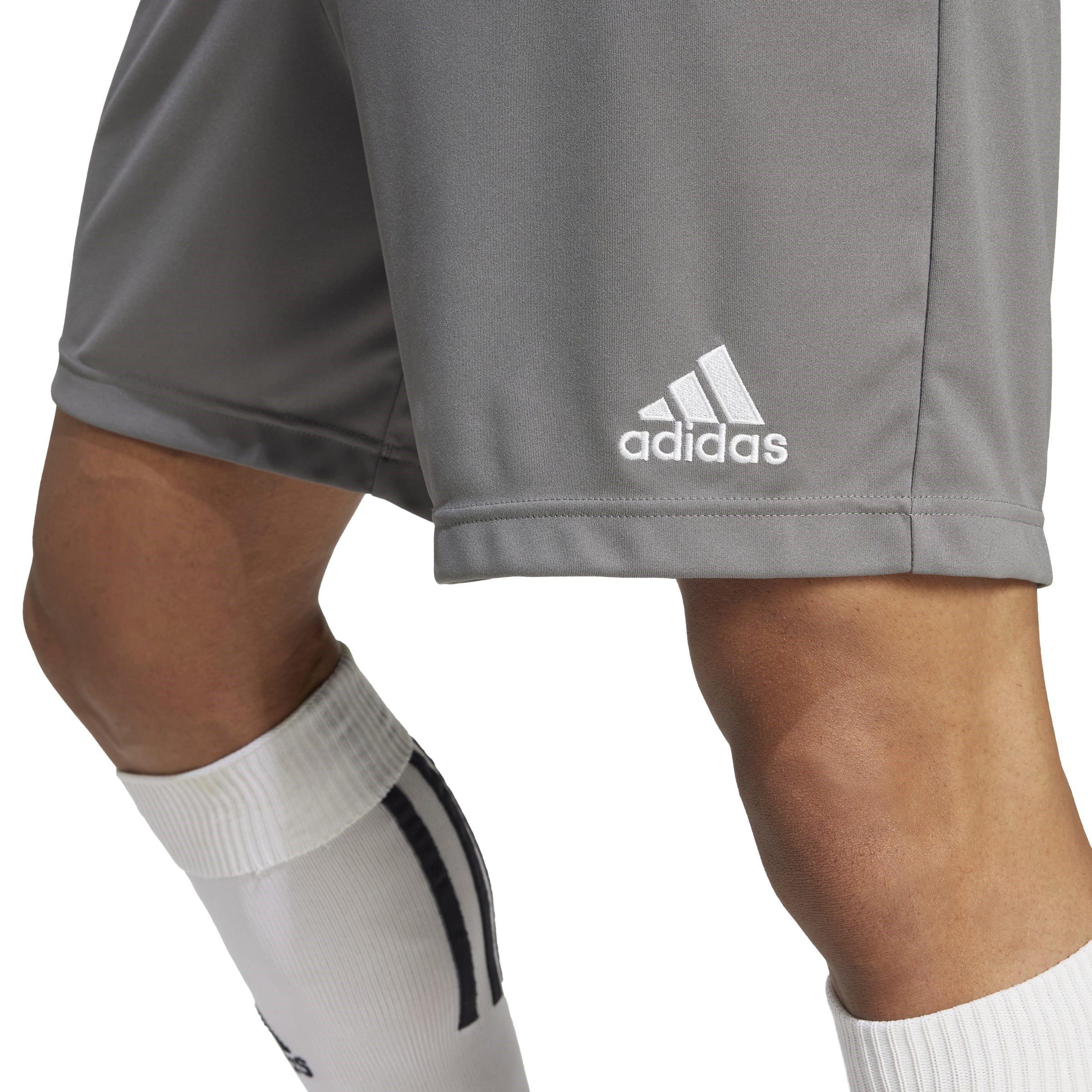 adidas Entrada 22 Shorts Mens